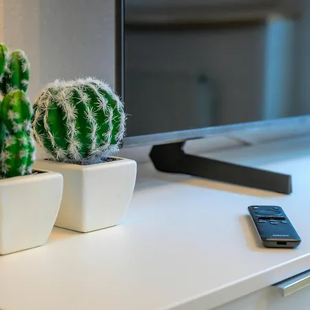 Wasle Apartamento